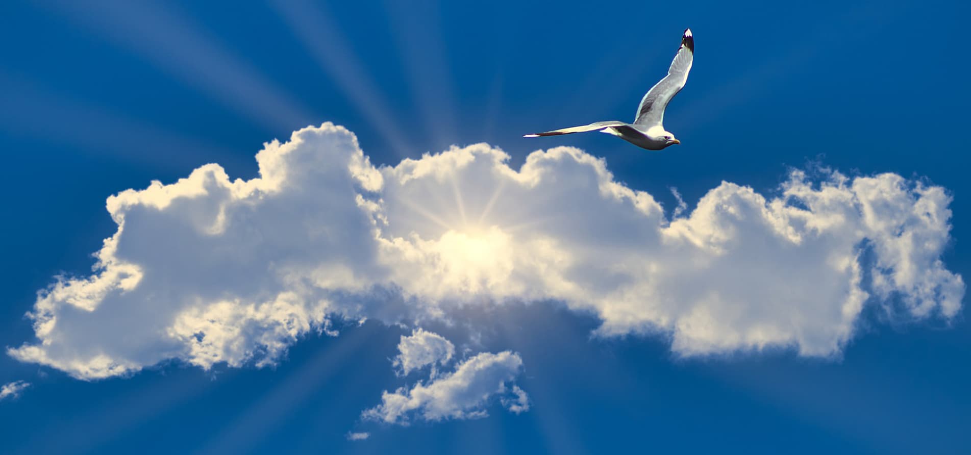 Sonne-Wolken-Mix mit blauem Himmel und fliegender Moewe verdeutlichen die Klimafreundlichkeit einer industriellen Lüftunganlage, die professionell geplant und budgetiert wurde.